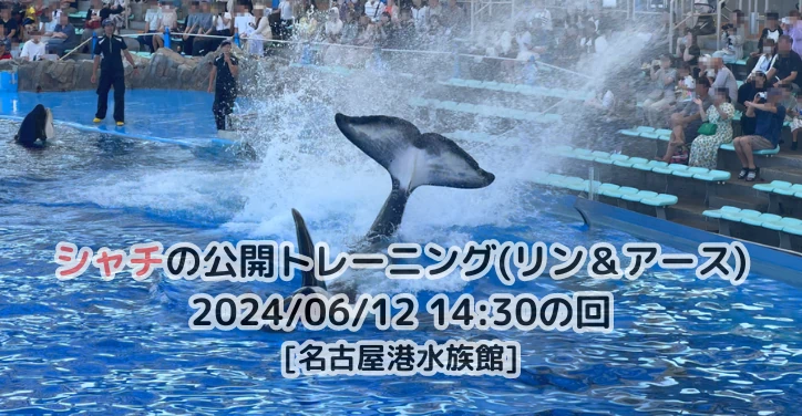名古屋港水族館 シャチ アース リン セット 名古屋港水族館 記念メダル シャチ アース リン 2枚セット 記念