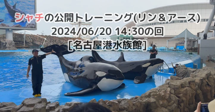 名古屋港水族館]シャチの公開トレーニング(リン＆アース) 2024